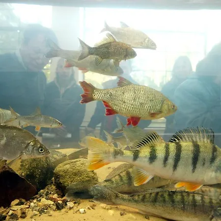 Kiviranna puhkemajad Suure-Rakke