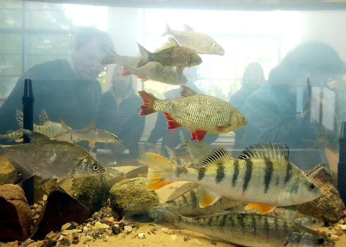 Kiviranna puhkemajad Suure-Rakke